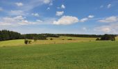 Tocht Stappen La Roche-en-Ardenne - rando warempage 13/07/2020 - Photo 11