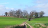 Excursión Senderismo Incourt - #240318 - Piétrebais, Sart-Biez, Petit et Grand Haquedeau*** - Photo 2