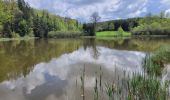 Tour Wandern Libin - rando redu  11-05-2023 - Photo 14