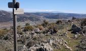 Trail Walking Alhama de Granada - Ventas de Zafarraya  - Photo 9