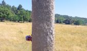 Trail Walking Collobrières - SityTrail - Collobriéres - Menhirs de Lambert - Photo 12