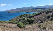 Randonnée Marche Port-Vendres - les Paulilles - Cap Bear via le sentier du littoral  / retour via collines et vignes  - Photo 6