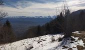 Trail Walking Apremont - Mont Joigny, pte de la Georgat, la Lentille, le GD Carroz - Photo 8