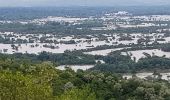 Tour Wandern Tokey - Tokaj - Photo 9