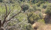 Trail Walking Le Boulou - Bataille du Boulou (1793 - 1794) - Photo 10