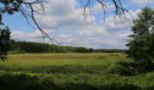 Tocht Te voet Straupitz (Spreewald) - Rundwanderweg Straupitz-Byhleguhre - Photo 5