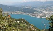 Tour Wandern La Chapelle-du-Mont-du-Chat - DENT DU CHAT & MOLARD NOIR - Photo 3