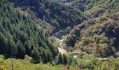 Randonnée Marche Vallées-d'Antraigues-Asperjoc - antraigues la violle - Photo 6
