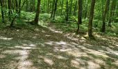 Tocht Stappen Vendôme - Randonnée dans le Bois de l'Oratoire à Vendôme  - Photo 16