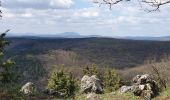 Tour Zu Fuß Bezirk Pistyan - Náučný chodník ŠTERUSY - REBRO - SPROSNÁ - ORLIE SKALY - Photo 10