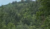 Excursión Bici de montaña Wettolsheim - À Velo 23 07 27 autour des 3 châteaux  - Photo 1