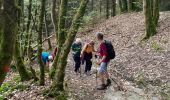 Excursión Senderismo La Roche-en-Ardenne - Beausaint - Photo 10