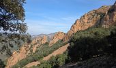 Trail Walking Saint-Raphaël - Pic du cap roux - Photo 11
