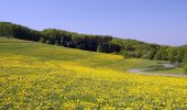 Tour Zu Fuß Abtsteinach - Rundwanderweg Abtsteinach 1: Panoramaweg Abtsteinach - Photo 2