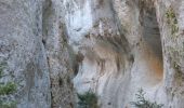 Randonnée Marche Cheval-Blanc - Gorges de regalon - Photo 2