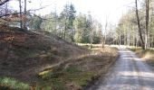 Randonnée A pied Apeldoorn - palieis 't Loo 