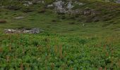 Percorso Marcia Pralognan-la-Vanoise - Montaimont par la vallée des Nants  - Photo 3