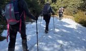 Trail Walking Castellane - La Baume (04) - Mandarom  - Photo 9