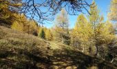 Trail Walking Valloire - Crêtes des Sallanches-2022-10-25 - Photo 5