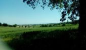 Trail Walking Saint-Félix-Lauragais - c2pa-lenclas-15/05 - Photo 3