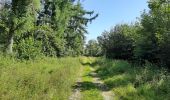 Trail Walking Clavier - Pailhe  - Photo 4