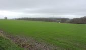 Trail Walking Ymare - 20240123-ymare - Photo 5