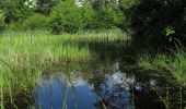 Tour Zu Fuß Wetter - Extratour Rotes Wasser - Photo 1