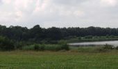 Tour Zu Fuß Birstein - Waschweiher Weg - Photo 2