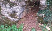 Excursión Senderismo Pouilley-les-Vignes - Pouilley les vignes - Photo 1