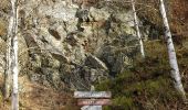 Tour Wandern Eupen - Ternell  - Réserve naturelle des Hautes Fagnes - Photo 4