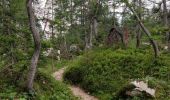 Trail Walking Bovec - Etape 3 : hut to hut  - Photo 4