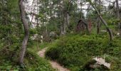 Tour Wandern Flitsch - Etape 3 : hut to hut  - Photo 4