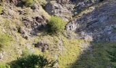 Tour Wandern Cauterets - plateau du lisey 2019 - Photo 1