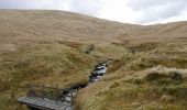 Randonnée A pied Unknown - Cairnsmore of Carsphairn by the Green Well - Photo 7