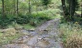 Tocht Stappen La Roche-en-Ardenne - Ramee  - Photo 5