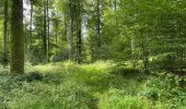 Randonnée Marche Villers-Cotterêts - en forêt de Retz_87_la Laie des Masures par la Route Chrétiennette - Photo 19