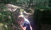 Trail Walking Lemberg - lemberger rothenbergerweg - Photo 17