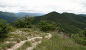 Tocht Stappen Saint-Julien-en-Quint - Bec Pointu - Les Glovins - St-Julien-en-Quint - Photo 6