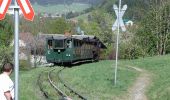 Excursión A pie Gemeinde Puchberg am Schneeberg - Rohrbach - Arbestal - Schwarzengründen - Puchberg - Photo 1