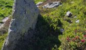 Tour Wandern Belvédère - Gordolasque-Pas de l'Arpet-Vallées des Merveilles - Photo 12