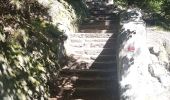 Trail Walking Schirmeck - Le Donon et Col de Prayé - Photo 16
