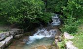 Trail Walking Mouthier-Haute-Pierre - Gorges de Nouailles - Source de la Loue - Photo 13