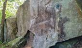 Randonnée Marche Fontainebleau - Fontainebleau sentier Denecourt 10 - Photo 20