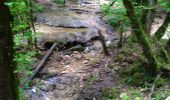 Trail Walking Cerdon - Cerdon Cascade de la Fouge - Photo 1