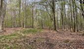 Tocht Stappen Corcy - en forêt de Retz_91_04_2022_la Laie de la Belle Epine - Photo 6