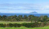 Excursión A pie Unknown - Te Araroa - 01 Northland - h Whangarei Heads to Bream Bay - Photo 8