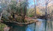 Randonnée Marche Brue-Auriac - Pigeonnier- Pont de Sumian - Chute du Tombereau - Bords de L'argens - Prieure Notre Dame -Le Village - Photo 15