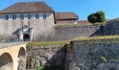 Tocht Stappen Besançon - Besançon : le Doubs, le centre, la citadelle  - Photo 4