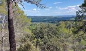 Tour Wandern Salernes - Saint-Barthélémy  - Photo 3