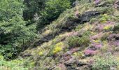 Tour Wandern Florac Trois Rivières - Bedoues - cassagnas espace Stevenson  - Photo 1